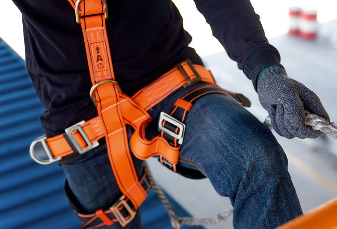 Ten largest company projects in development